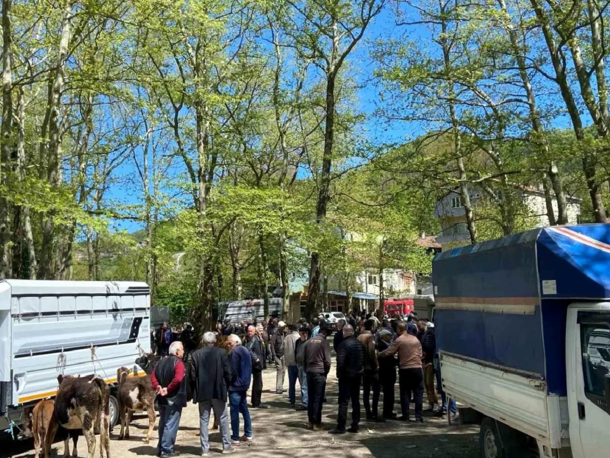 Çarşamba Pazarı’nda Kurbanlık Hareketliliği