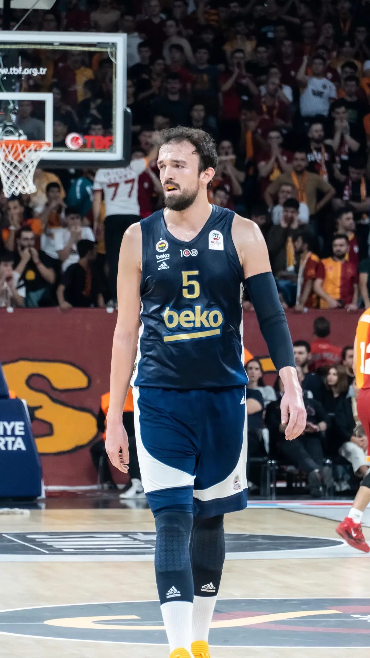 Fenerbahçe Beko Final-Four’a Yükseldi