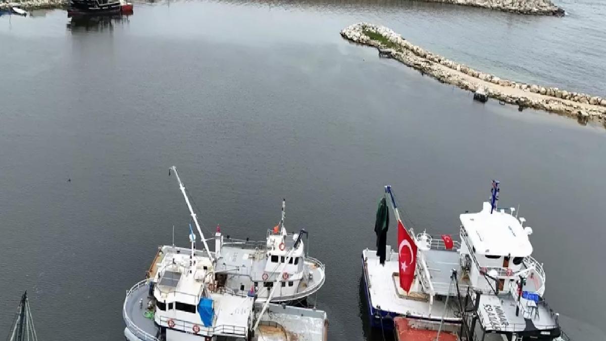 Kırklareli’nde Bol Hamsi Avı