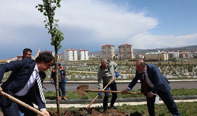 Minik Meleklerin Mezarlarında Manalı Düzenleme