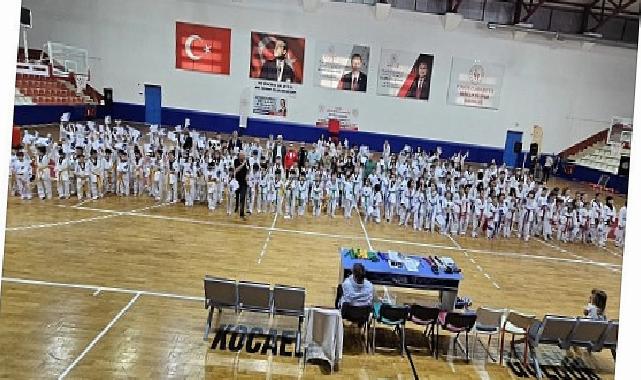 293 Gölcük Belediyespor Taekwondo Sportmeni Nesil Atladı