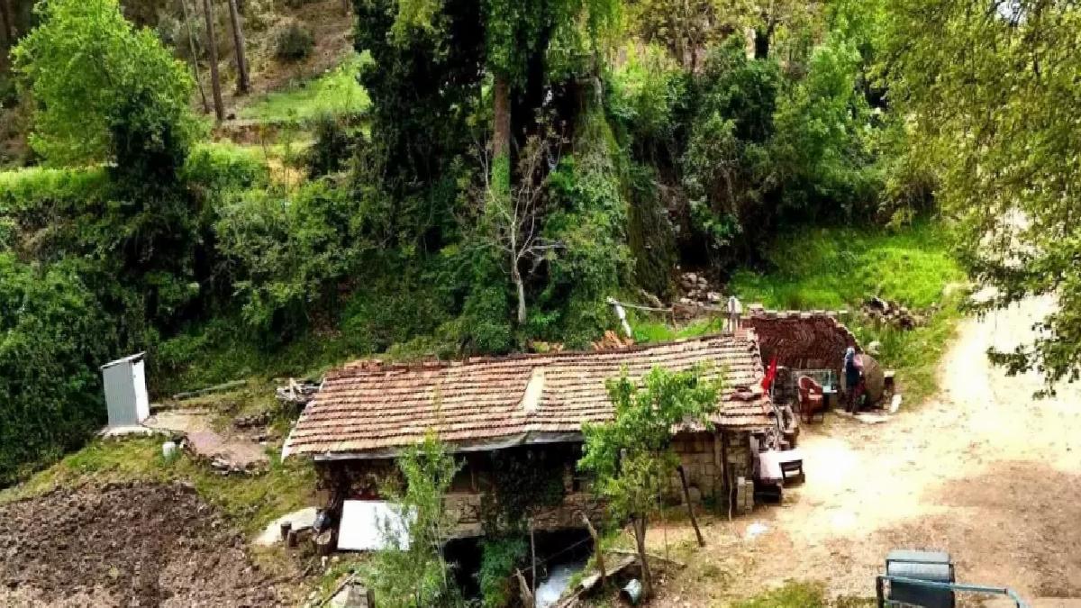 450 Yıllık Su Değirmeni Hala Etkin