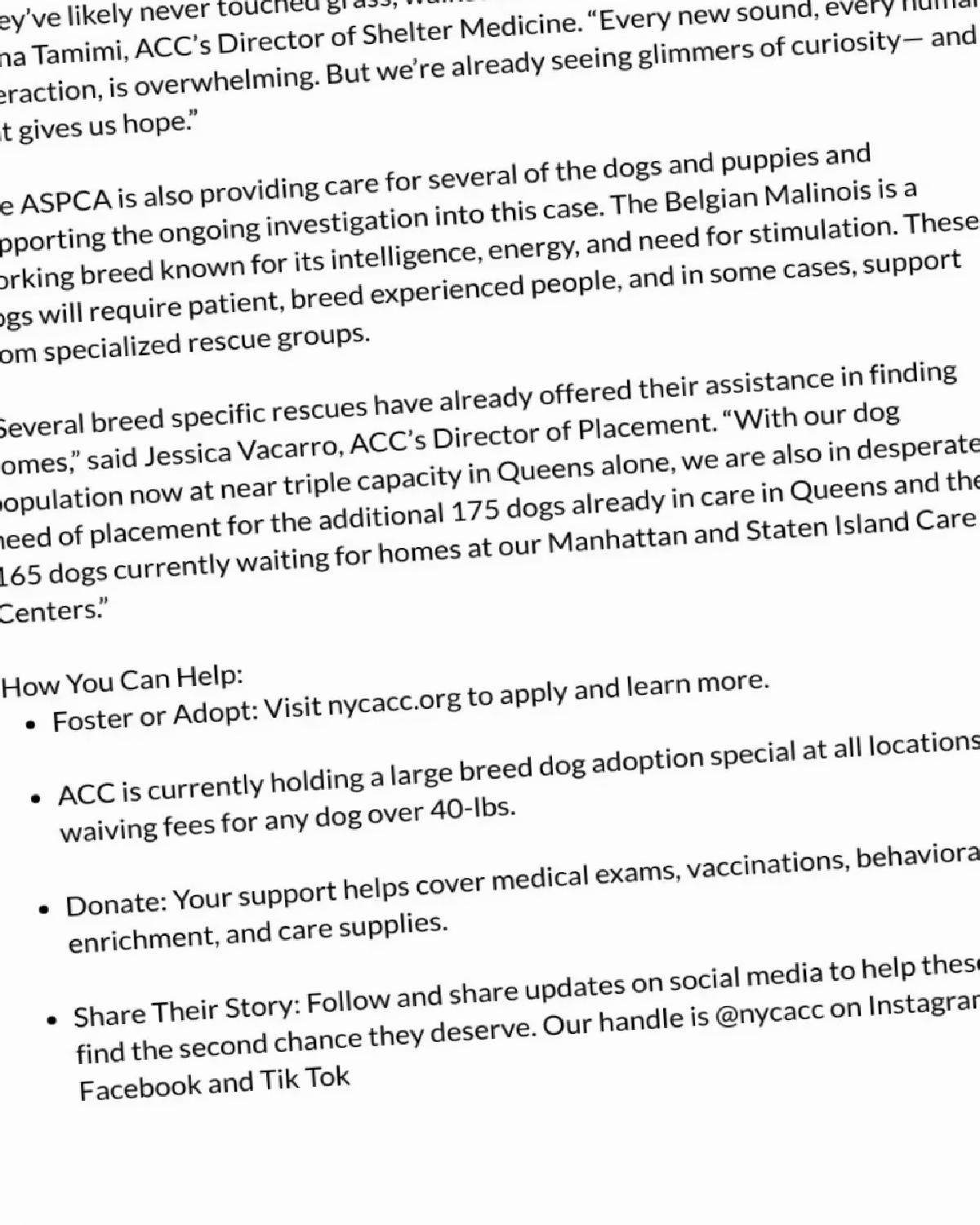 48 Köpek Sıhhatsiz Şartlarda Bulundu