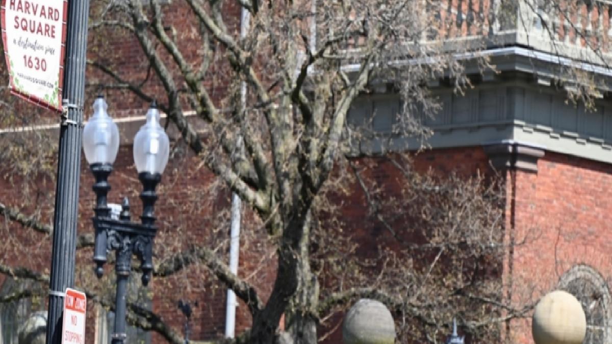 ABD Eğitim Bakanlığı: Harvard’a yeni federal fon verilmeyecek