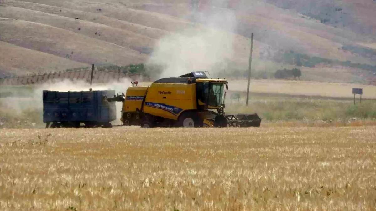 Adıyaman’da Hububat Hasadı Başladı
