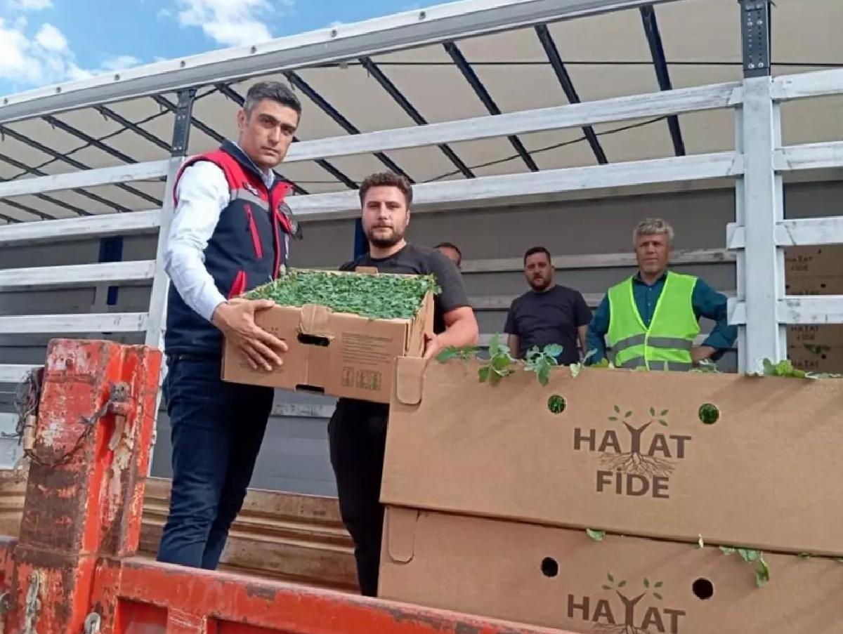 Afyon’da Domates Projesi Başladı