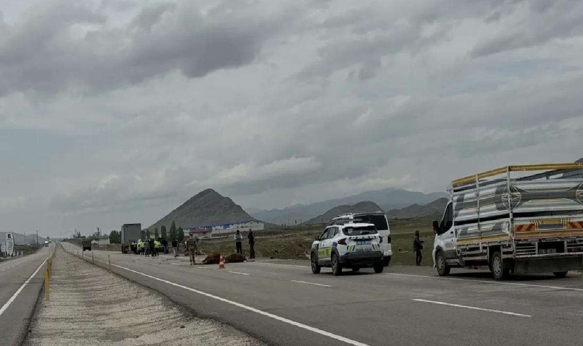 Ağrı’da Boks Şampiyonası Başladı