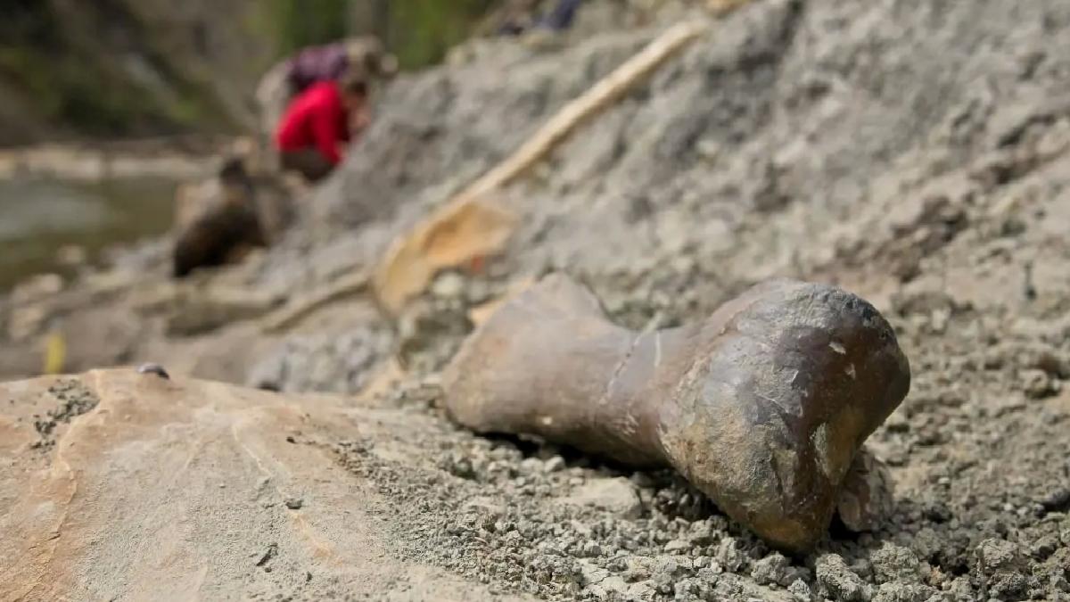 Alberta’da Dinozorların Gizemli Mezarı