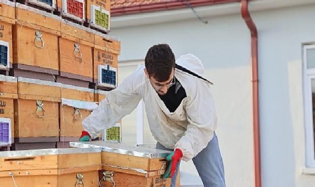 Arılı Kovan Takviyesi Projesi’nin 3. Yılında Üreticilere Arı ve Kovanları Dağıtıldı