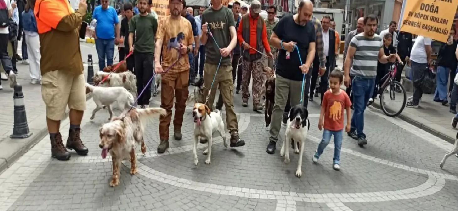 Avcılar ve Köpekler Devrek’te Bir Ortaya Geldi