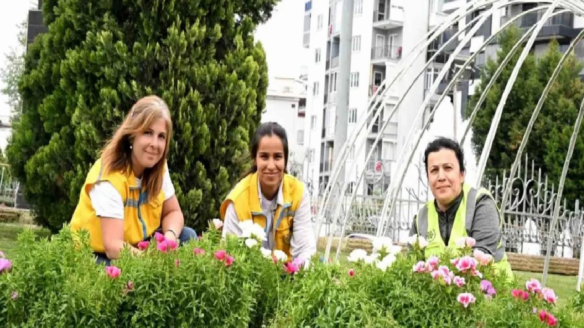 Aydın’da Bahar Çiçekleri ile Kent Süsleniyor