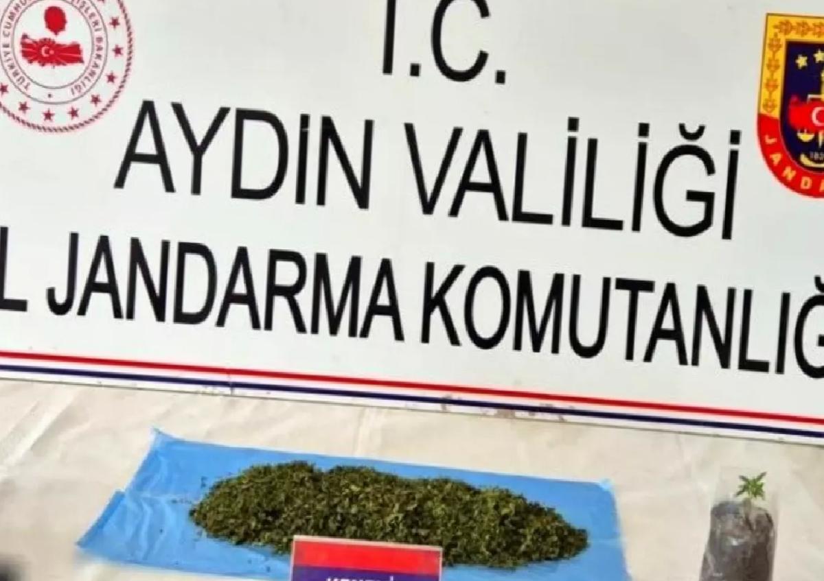 Aydın’da Uyuşturucu Operasyonu: 36 Kuşkulu Yakalandı