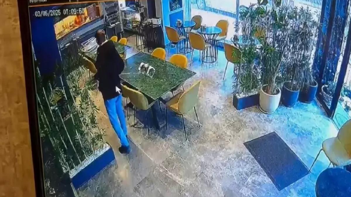 Bahar Aksu Cinayetinde Yeni Görüntüler!