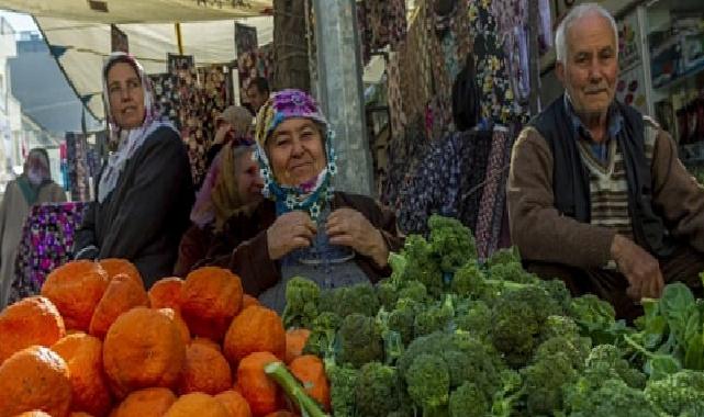 Bahar ayında çilek ve domates dorukta