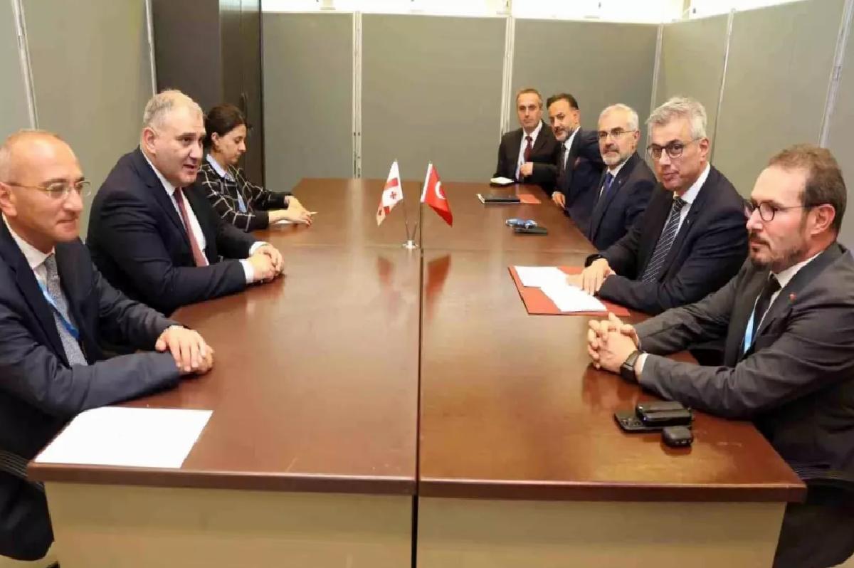 Bakan Memişoğlu, Gürcistanlı Mevkidaşıyla Görüştü