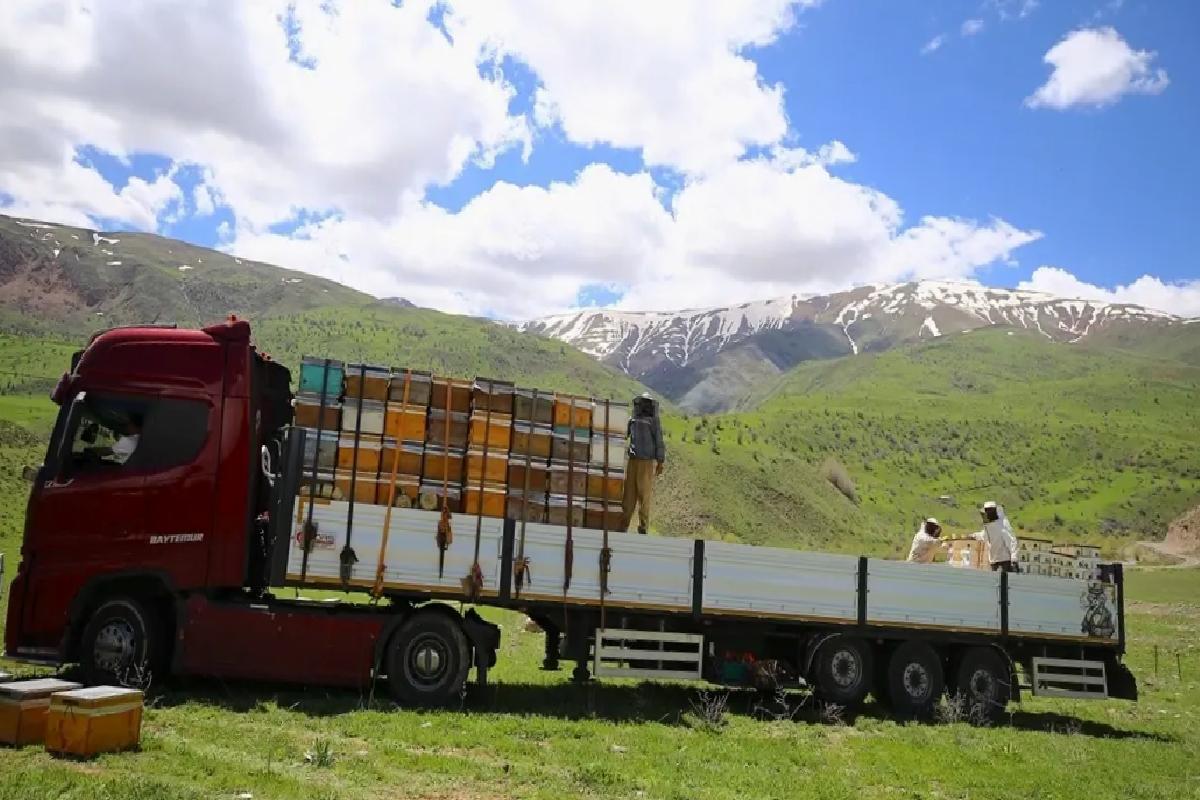 Bingöl Arıcıları İlkbahar İçin Dönüş Yolda