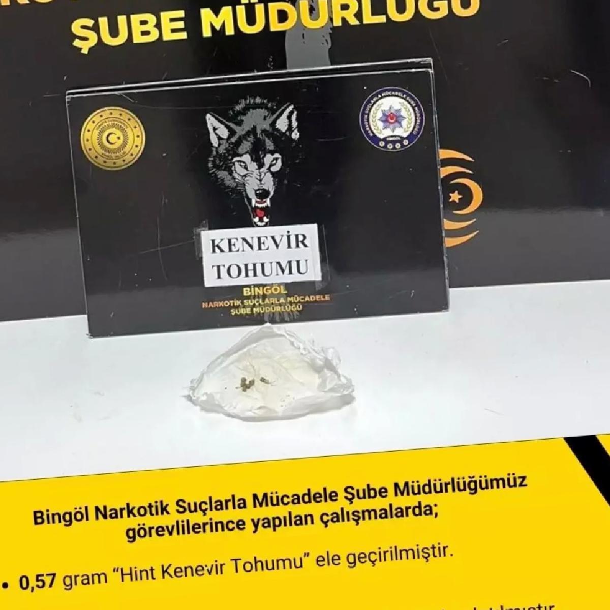 Bingöl’de Narkotik Uygulaması