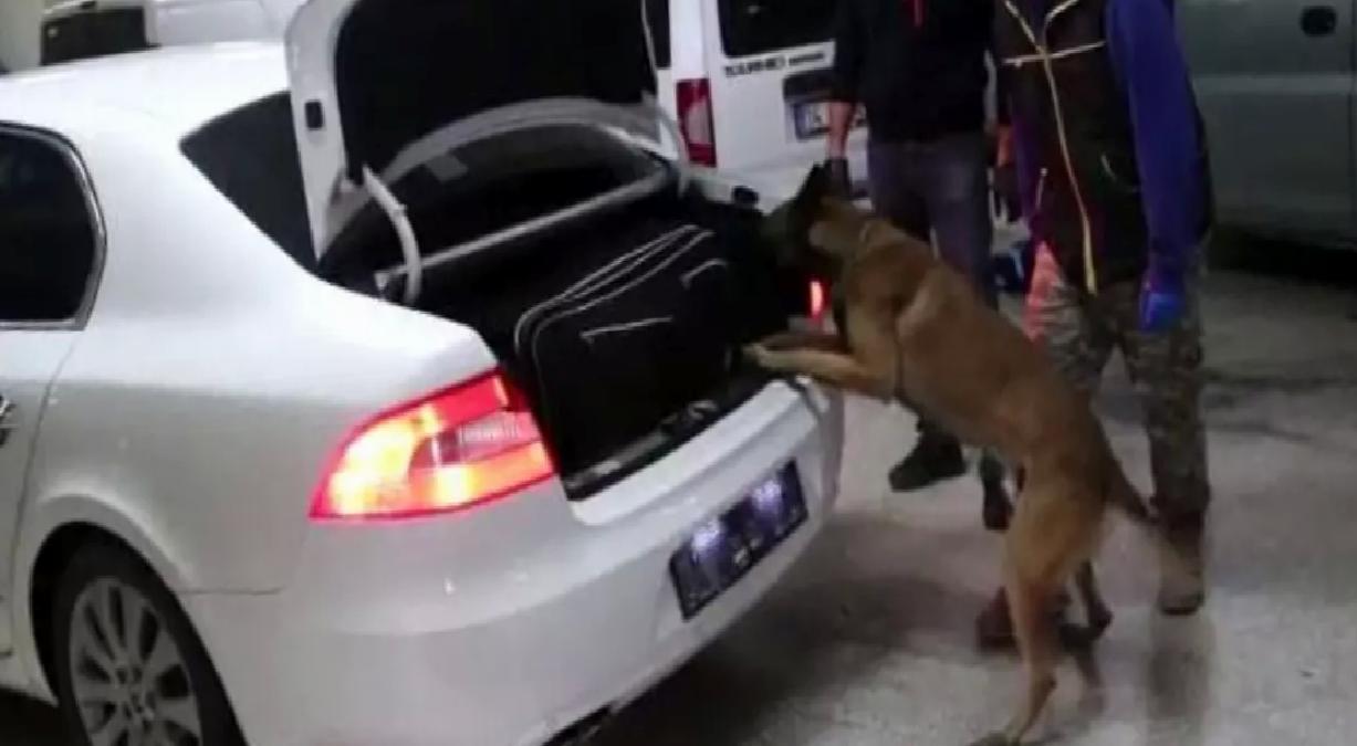 Bolu’da 9 Kaçakçılık Operasyonu