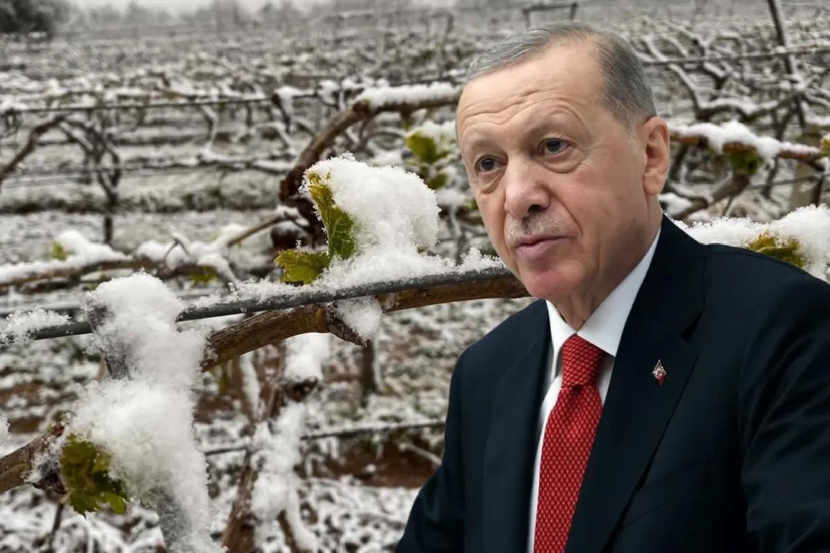 “Bu yıl külfet yaşayacağız” diyen Cumhurbaşkanı Erdoğan, o eserleri tek tek saydı