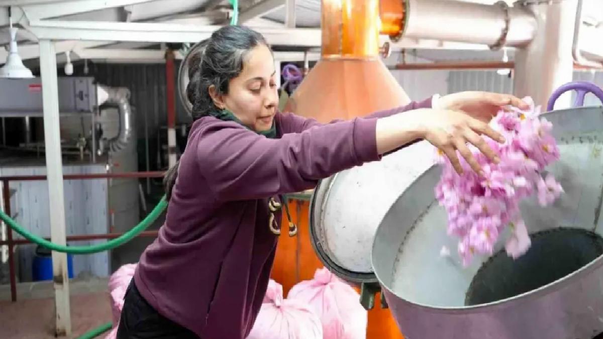Burdur’da Gül Hasadı Global Isınmadan Etkilendi