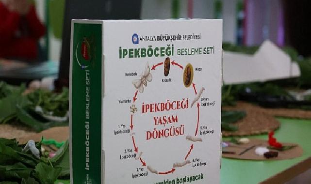 Büyükşehir çocukları ipekböceği ile tanıştırıyor