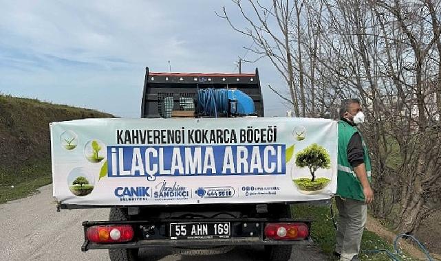 Canik’te Kokarca Böceğine Karşı Gayrette Atak
