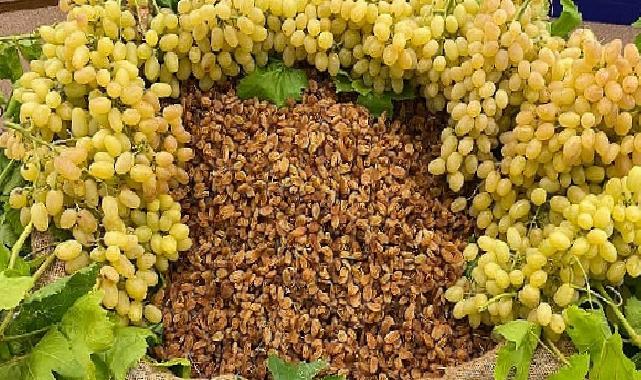 Çekirdeksiz kuru üzüm, kuru kayısı ve kuru incir ihracatında 1 milyar dolar aşıldı