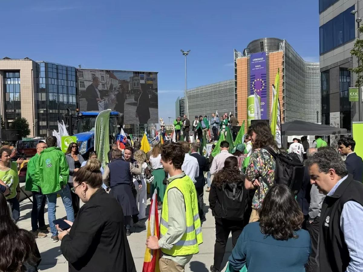 Çiftçiler AB’de Tarım Takviyeleri İçin Şov Düzenledi