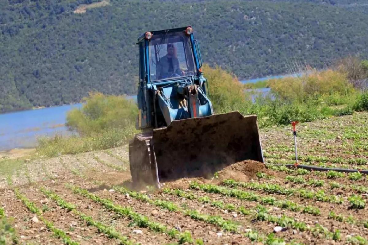 Çiftçiler Hakkında Çelişkili Hareket