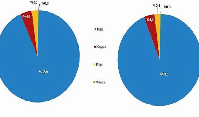 Çiğ Süt Üretim İstatistikleri, 2024