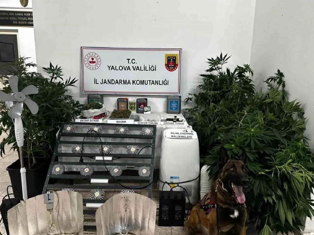 Çınarcık’ta Uyuşturucu Düzenek Operasyonu