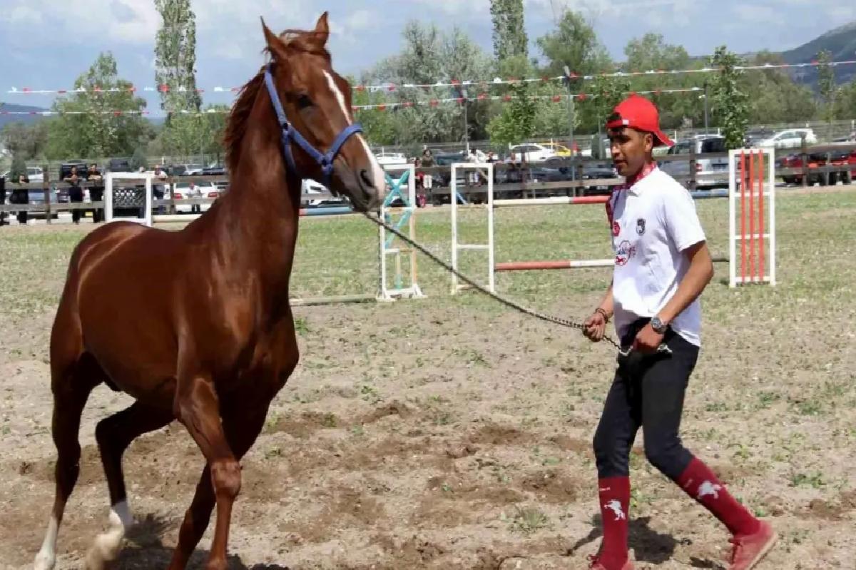 Çorum’da Milletlerarası Atçılık Şenliği Ağır İlgi Gördü