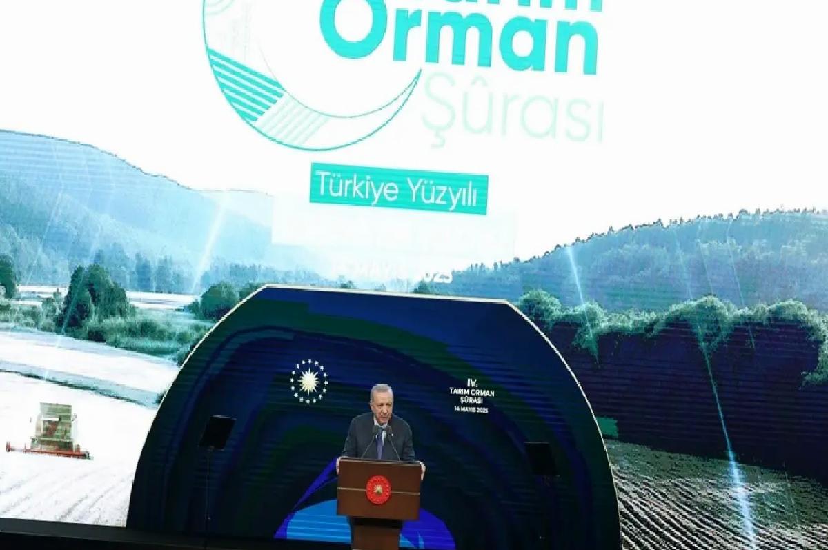 Cumhurbaşkanı Erdoğan, 4. Tarım Orman Şurası Sonuç Bildirgesi Programı’nda konuştu: (2)