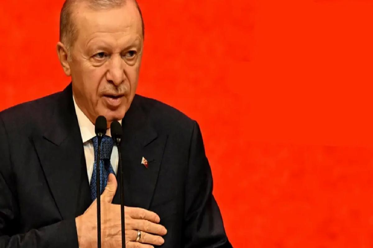 Cumhurbaşkanı Erdoğan: Eline bir mikrofon alan kendini gazeteci sanıyor