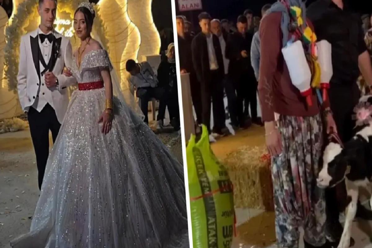 Damat çaresizce bekledi, düğünde takılanlar herkesi şoke etti