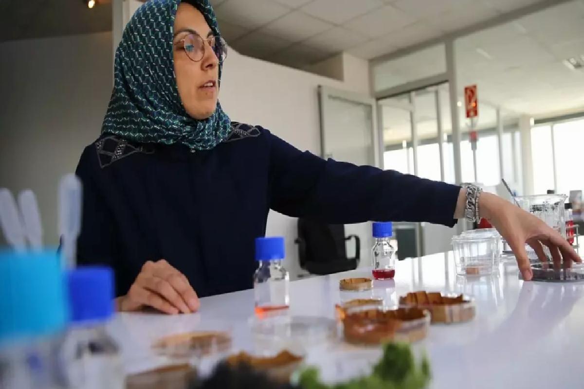 Deniz Yosunlu Akıllı Etiket Geliştirildi
