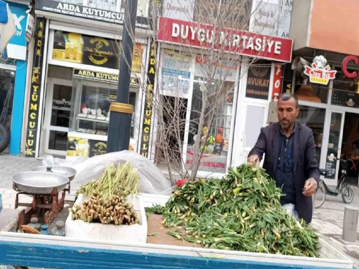 Diyadin’de Bahar İle Işkın ve Çiriş Ticareti Başladı