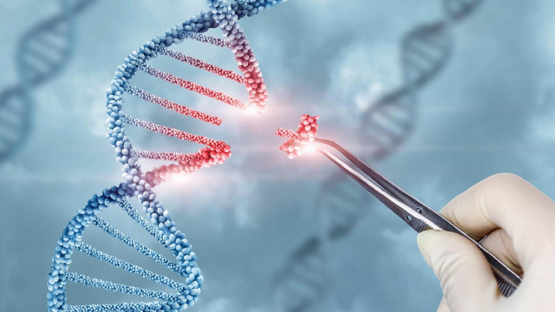 Dünyada birinci kere şahsileştirilmiş CRISPR gen düzenleme ile bir bebek tedavi edildi!