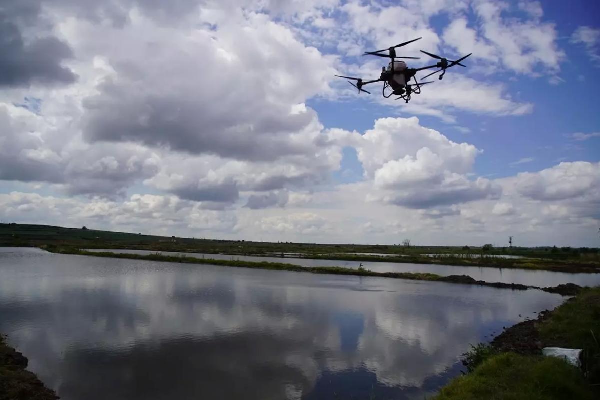 Edirne’de Dronla Çeltik Ekimi