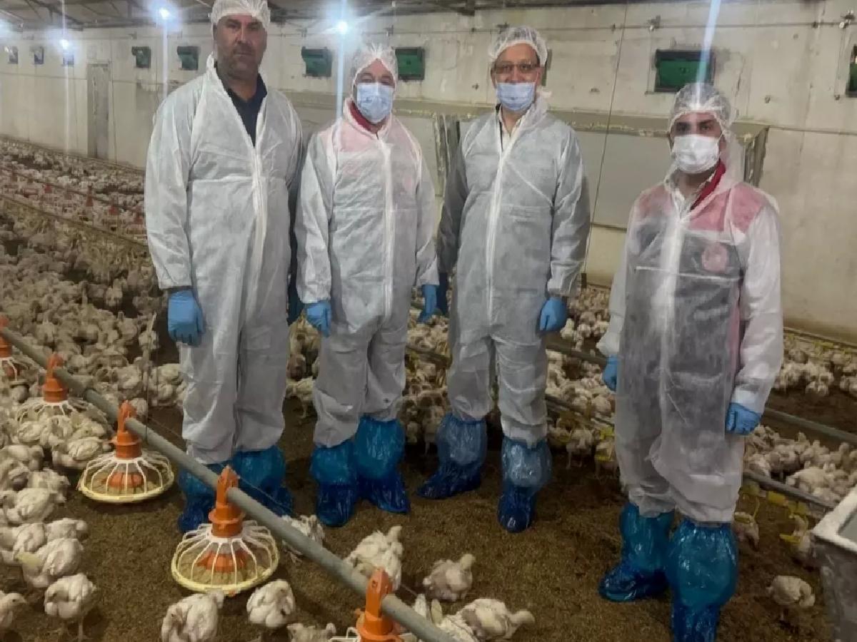 Erzincan’da Kanatlı Hayvan Kesimi Canlanıyor