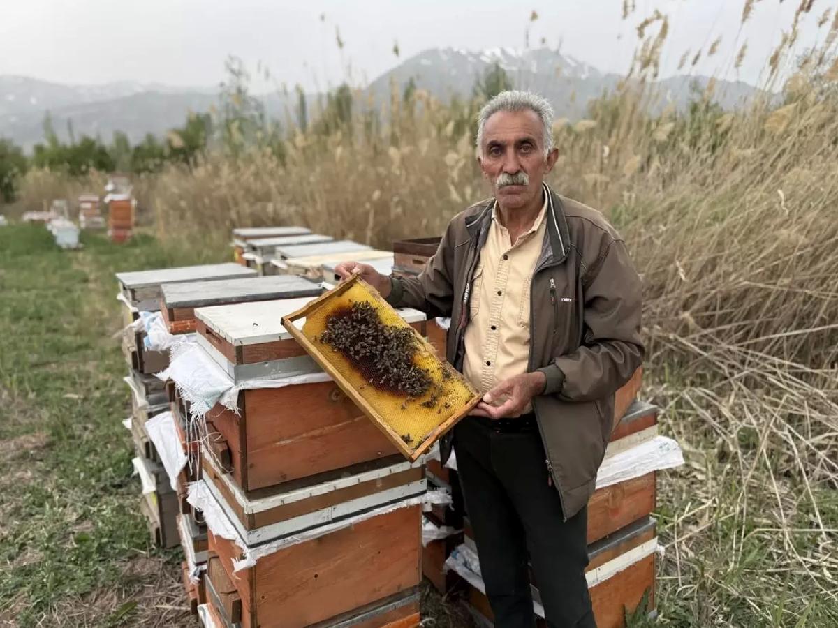 Erzincan’da Soğuk Hava Arıcılığı Olumsuz Etkiliyor