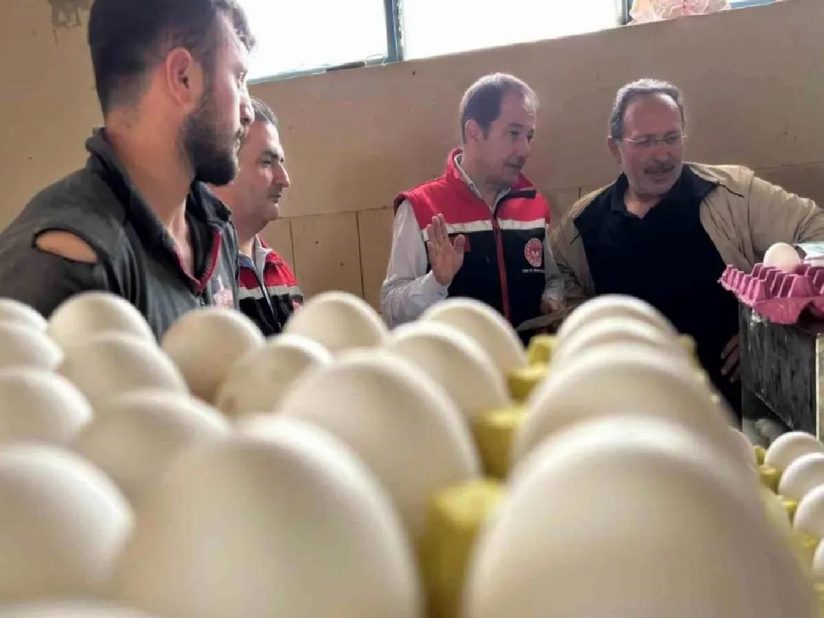 Erzincan’da Tavukçulukta Yeni Yatırımlar
