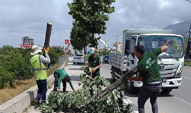 Fırtınanın Ziyan Verdiği Ağaçlar Kaldırıldı