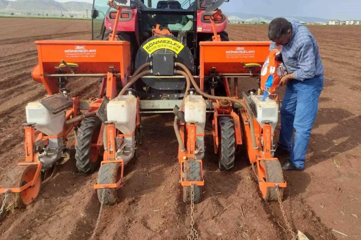 Gaziantep’te 2025 Pamuk Ekimine Başlandı
