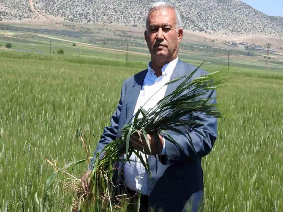 Gaziantep’te Buğday Rekoltesi Umut Veriyor