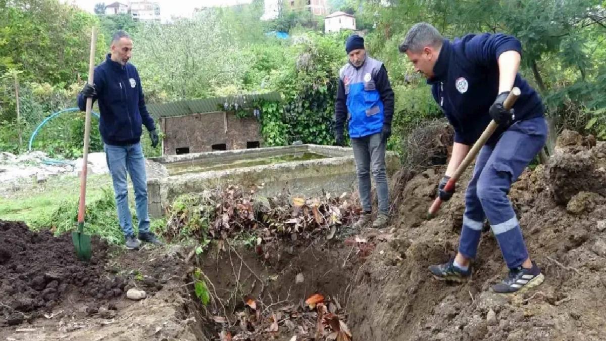 Giresun’da Balık Atıkları Etraf Dostu Projede Bedellendiriliyor