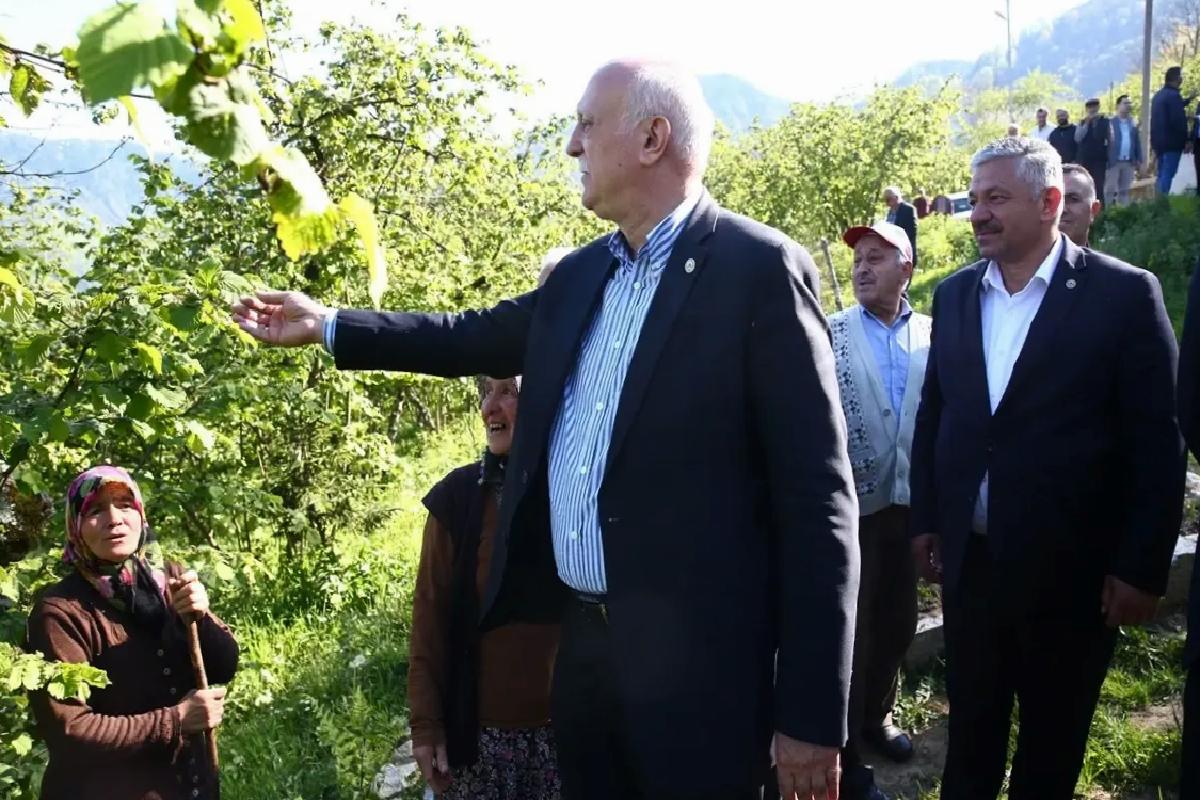 Giresun’da Fındık Bahçelerine Zirai Don Ziyan Verdi