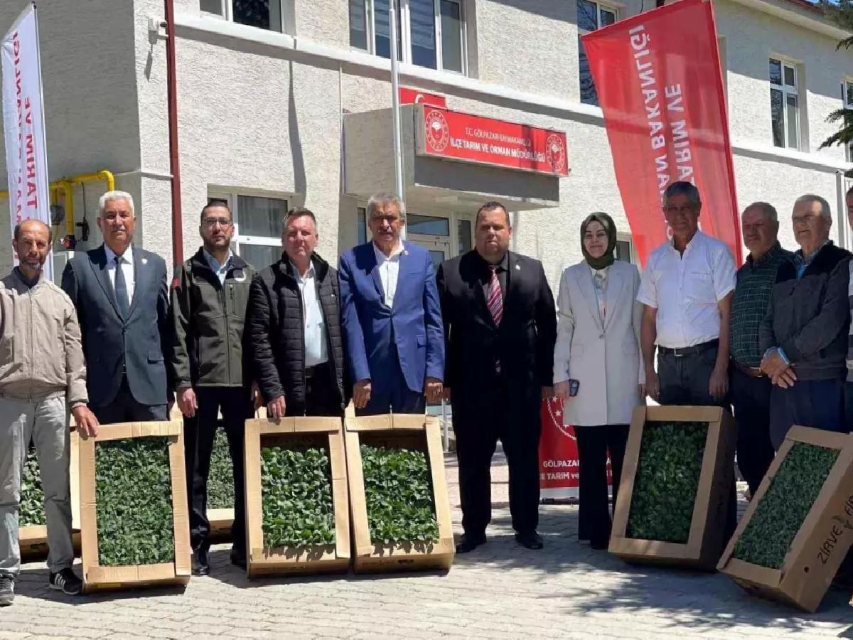 Gölpazarı’nda Fide Dağıtımıyla Tarıma Takviye