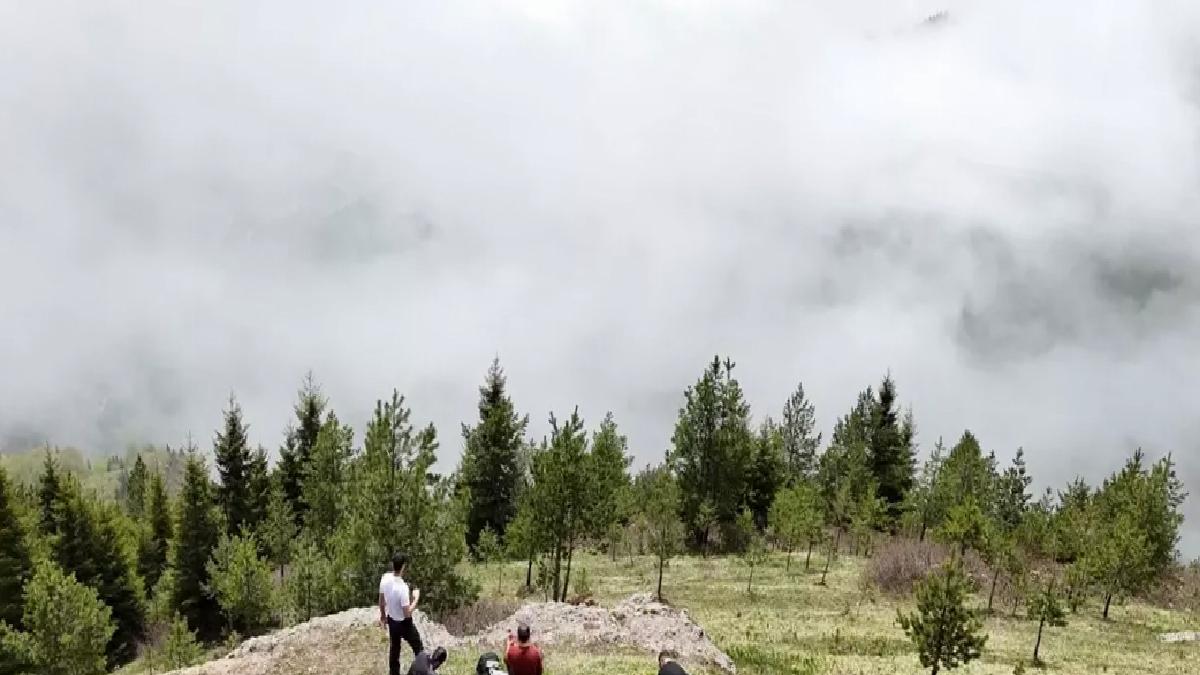 Gümüşhane’de Tabiat Yürüyüşü