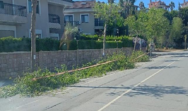 Güzelbahçe Belediyesi’nden Yaz Paklığı
